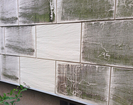 ILKA®-Sanierlösung chlorfrei Tötet Pilze, Algen, Schimmel und wirkt desinfizierend in einem Arbeitsgang, WDVS geeignet.