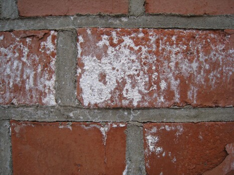 ILKA-Salpetertod | Ätzpräparat zur Vernichtung von Mauerschwamm, Mauersalpeter und Ausblühungen